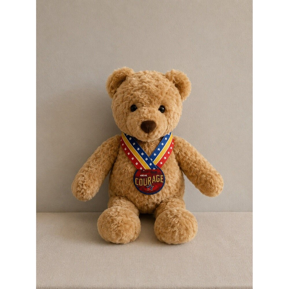 GUND Wish Bear Courage Teddy Bear Plush Toy 2003 Rare Collectible